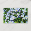 Search for forget me not business cards Nature