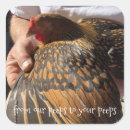 Search for backyard chickens stickers Farm