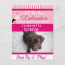 Search for funny cats and dogs postcards For pets