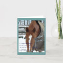 Search for hunter jumper postcards Equestrian