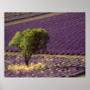 Search for cultivation posters Cultivated