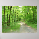 Search for nature walks posters Trees