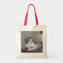 Search for calicos bags Animals