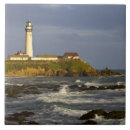 Search for pigeon tiles Lighthouse
