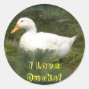 Search for love ducks stickers Animal