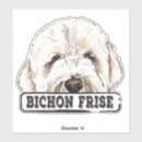 Search for bichon frise electronics Watercolor
