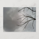 Search for dark cloud Storm clouds