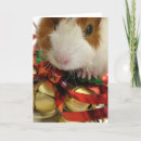 Search for guinea pig christmas cards Pet