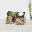 Search for funny running birthday cards Dog