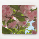 Search for cherry blossom tree mousepads Flower