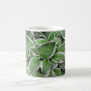 Search for hosta mugs Botanical