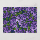 Search for lilacs postcards Pattern