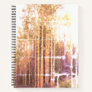 Search for aspen notebooks Nature