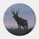 Search for deer buck magnets Outdoors