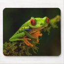 Search for froggies mousepads Amphibian