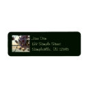 Search for dc return address labels Floral