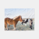 Search for icelandic horses blankets Wild horse