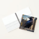 Search for raven notebooks Bird