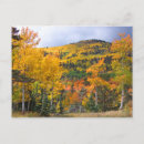 Search for aspen postcards Landscapes