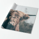 Search for highland cow wrapping paper Scottish