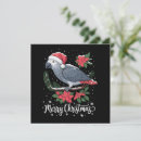 Search for african grey parrot christmas cards Festive