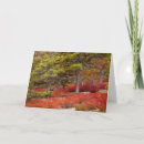 Search for acadia cards Forest