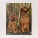 Search for vizsla dog puzzles Pet