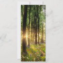 Search for by dawn invitations Trees