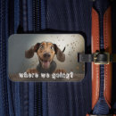 Search for pet travel accessories Animal
