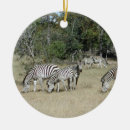 Search for african safari christmas tree decorations Zebra