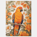 Search for conures magnets Parrot