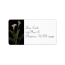 Search for white calla lily return address labels Botanical
