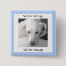 Search for mixed badges Cute