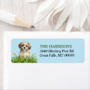 Search for daffodils return address labels Garden