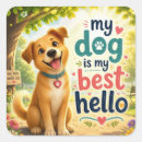 Search for my dog stickers Pet lover