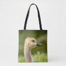 Search for goslings bags Wildlife