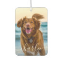 Search for pet photo car air fresheners Cute