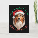 Search for shetland sheepdog christmas cards Santa