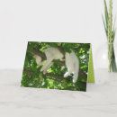 Search for retirement cat cards Cute
