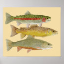 Search for brook trout art Cutthroat