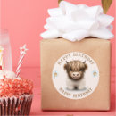 Search for exe stickers Heilan coo