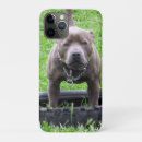 Search for staffordshire iphone cases Staffy
