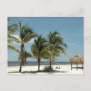 Search for lonely tree postcards Outdoors