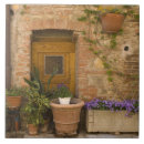 Search for siena tiles Sergio pitamitz