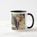 Search for kenya National park