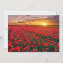 Search for rural scenes cards Sunset