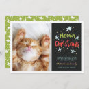 Search for kitties christmas cards Pet
