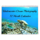 Search for aquarium photography Ocean
