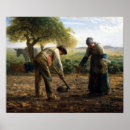 Search for millet Potato