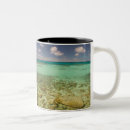 Search for turks caicos mugs Tropical